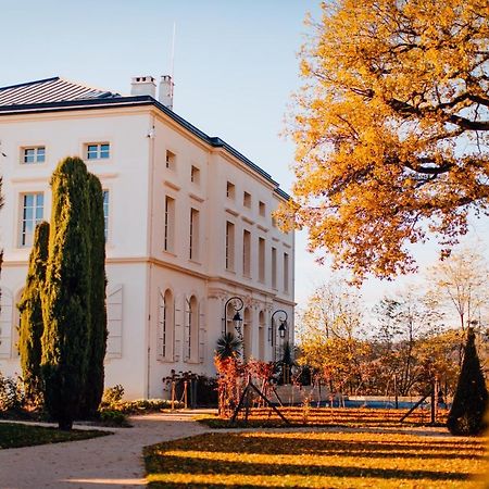 Chateau De Longpre Varilhes Exteriér fotografie